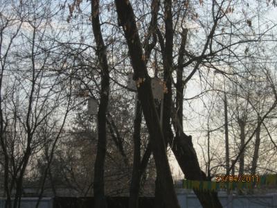 23.04.11 Общегородской субботник